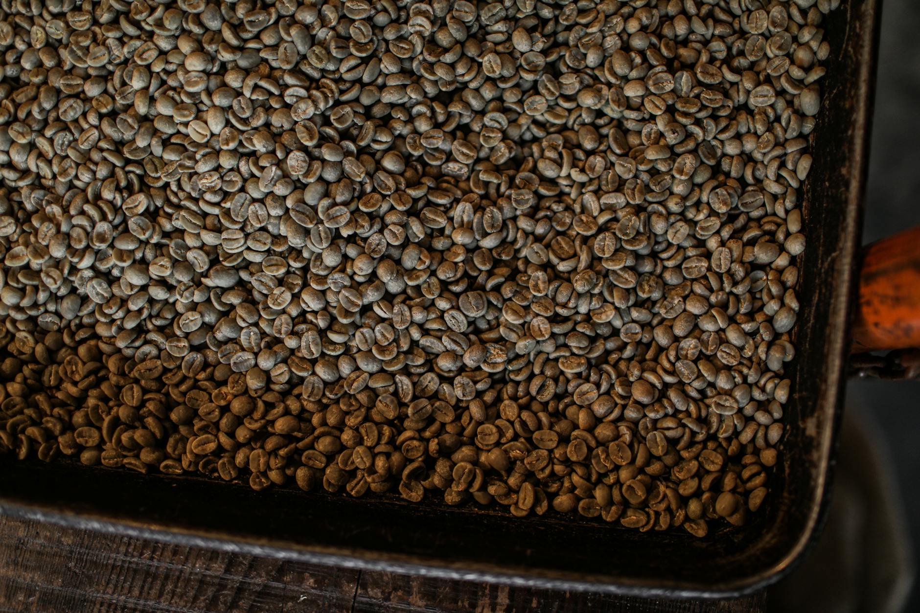 Pexels photo 8472177